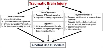 Traumatic Brain Injuries during Development: Implications for Alcohol Abuse